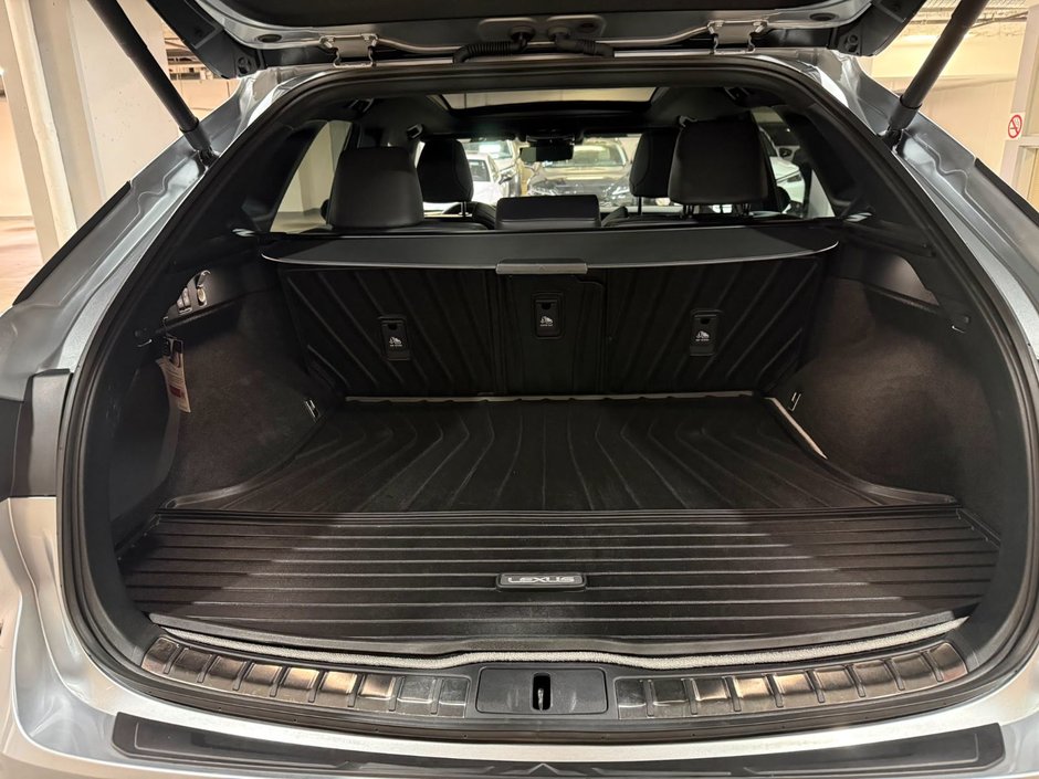 2023 Lexus RX 500h-9