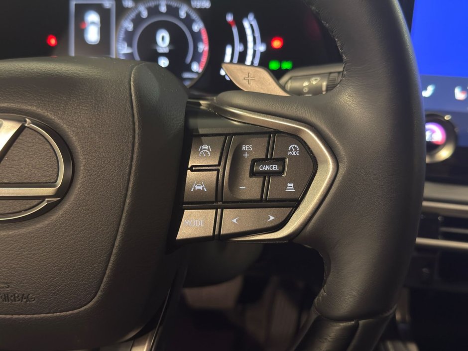 2024 Lexus Rx350 Luxury LA-13