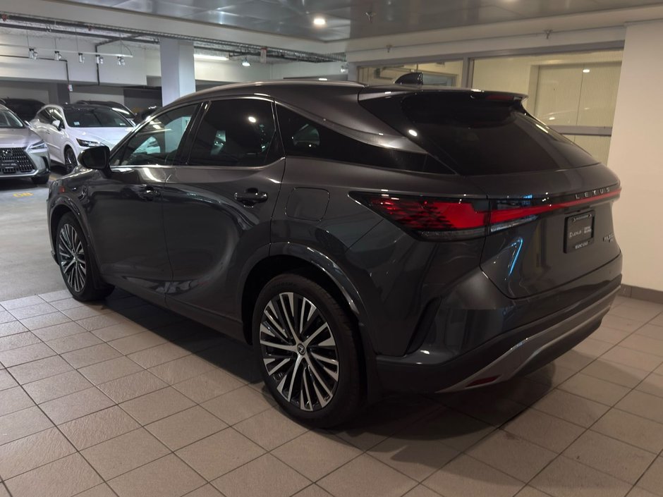 2024 Lexus Rx350 Luxury LA-3