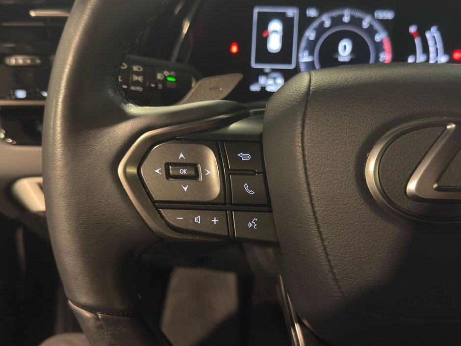 2024 Lexus Rx350 Luxury LA-12