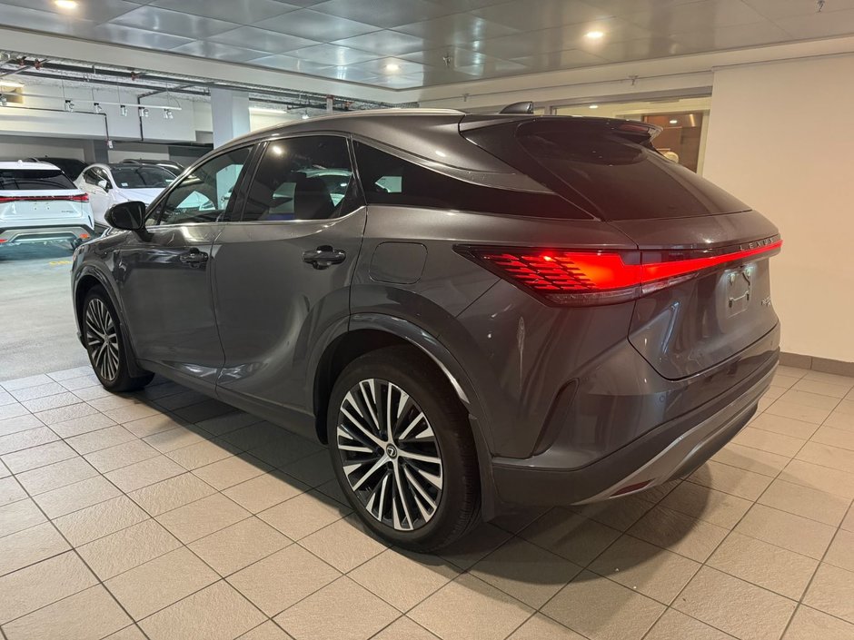 2024 Lexus RX 350 AWD LUXURY-2