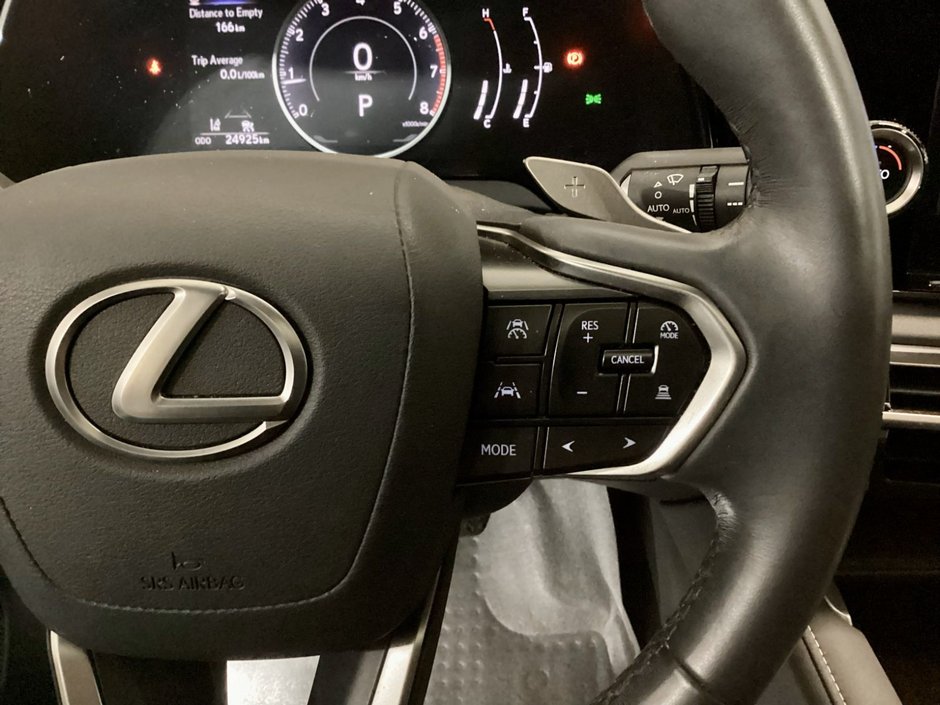 2024 Lexus RX350 PREMIUM PACKAGE RX 350-16
