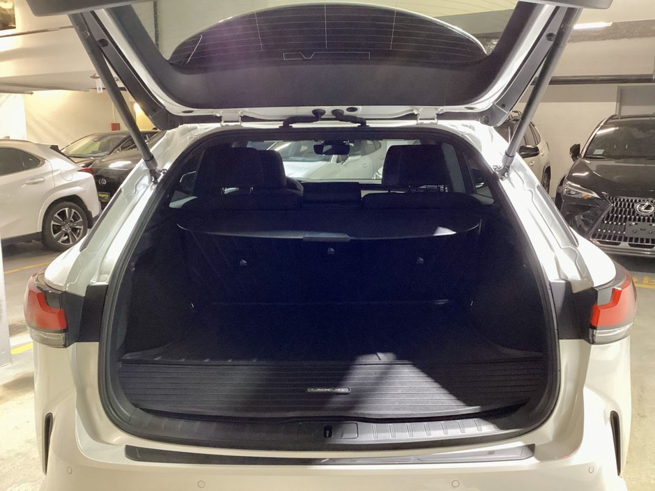 2024 Lexus RX350 PREMIUM PACKAGE RX 350-11