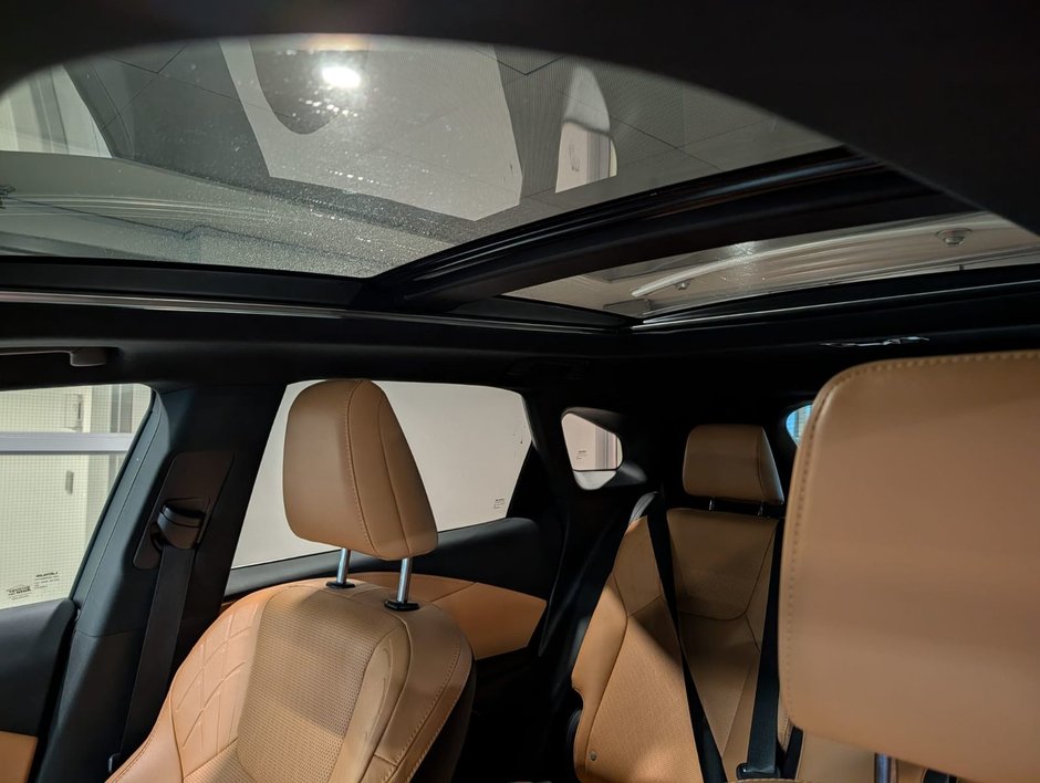 2024 Lexus RX350h Luxury Package RX 350h-19