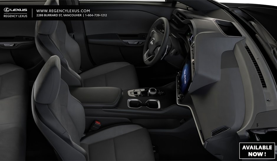 2025 Lexus RZ EXECUTIVE-3