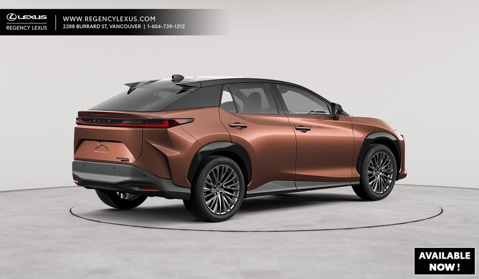 2025 Lexus RZ EXECUTIVE-2