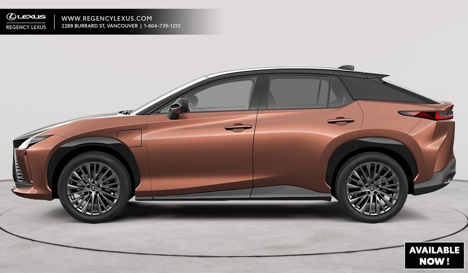 2025 Lexus RZ EXECUTIVE-1