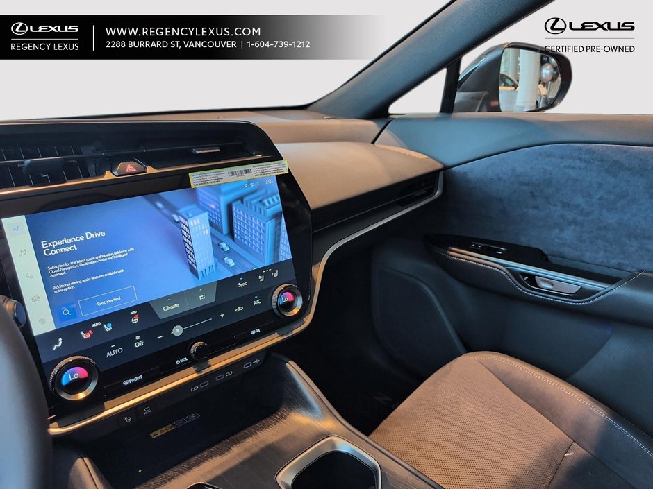 2025 Lexus RZ EXECUTIVE-12