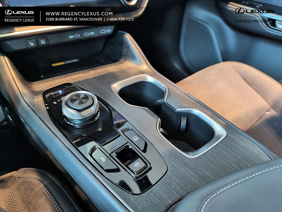 2025 Lexus RZ EXECUTIVE-15