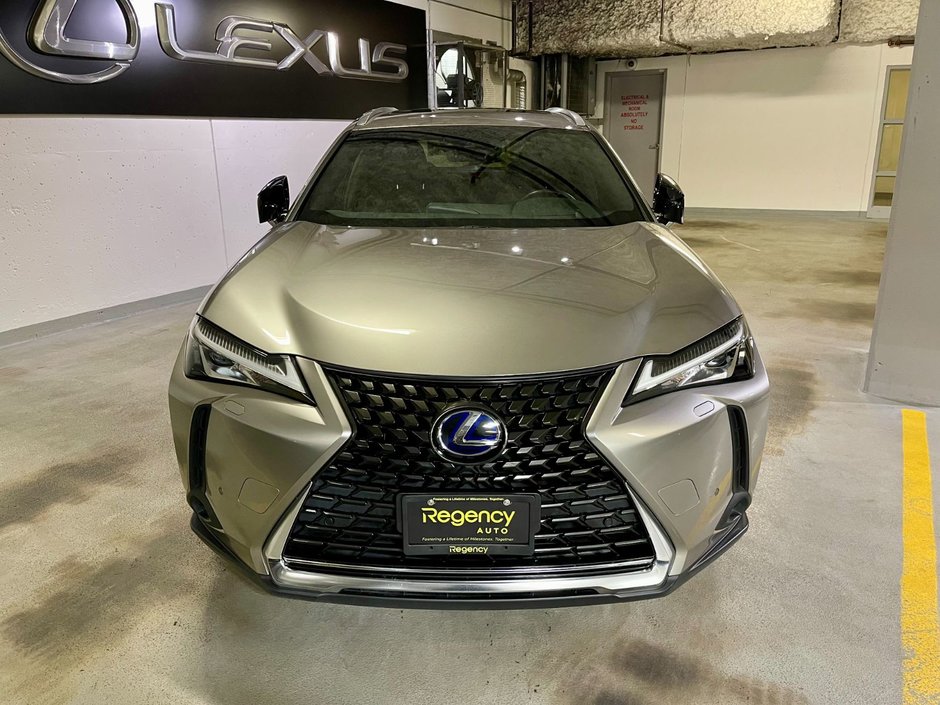 2021 Lexus UX 250H AWD HYBRID LUXURY PKG-2