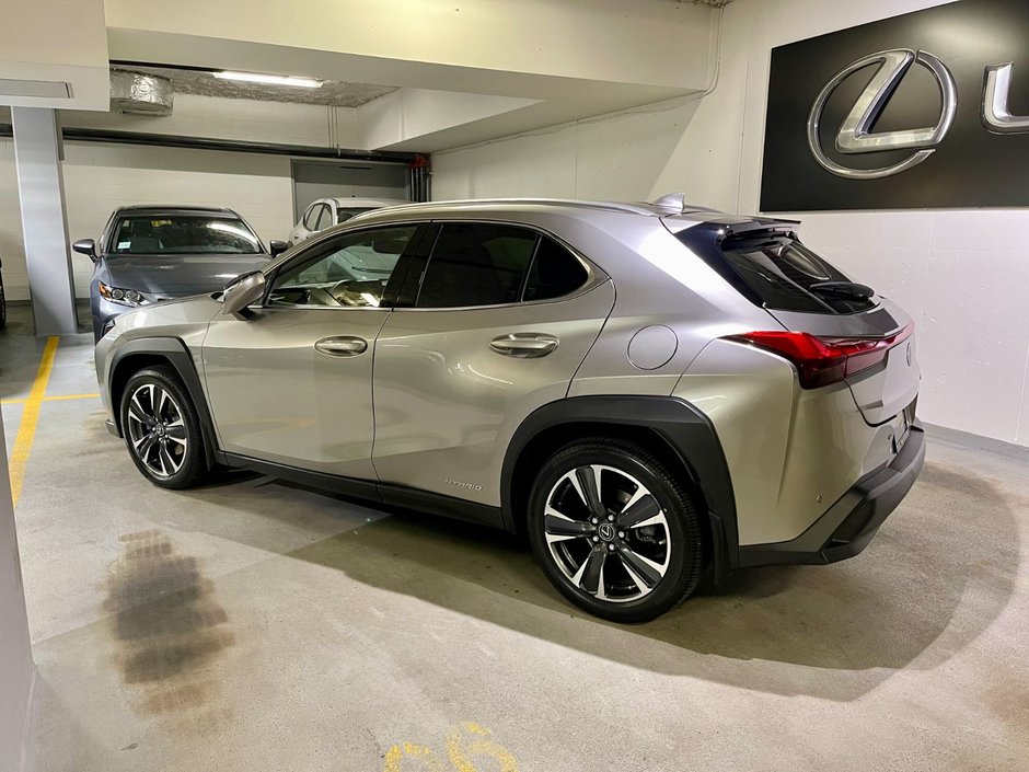 2021 Lexus UX 250H AWD HYBRID LUXURY PKG-5