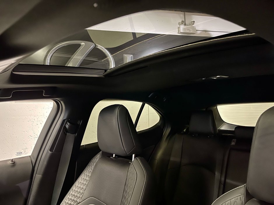 2021 Lexus UX 250H AWD HYBRID LUXURY PKG-22
