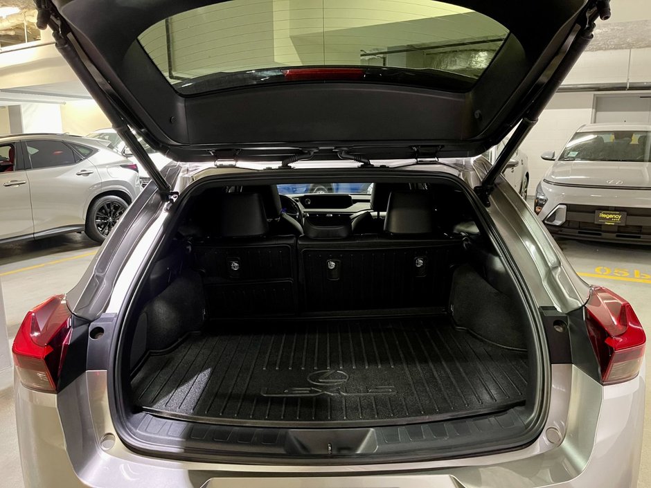 2021 Lexus UX 250H AWD HYBRID LUXURY PKG-11