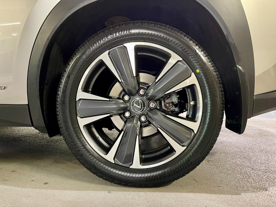 2021 Lexus UX 250H AWD HYBRID LUXURY PKG-6