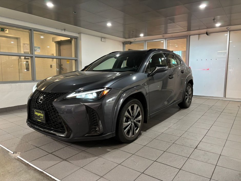 2023 Lexus UX 250h AWD UX 250h-0