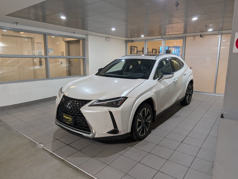 2024 Lexus UX 250h AWD UX 250h-0