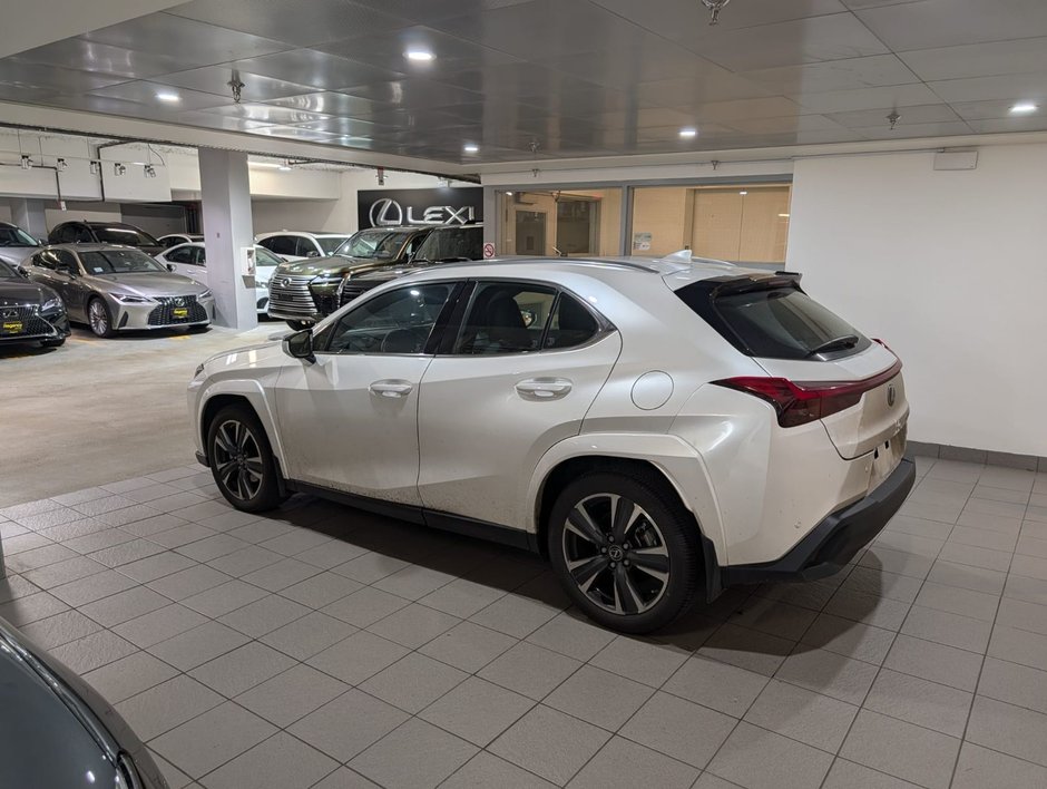 2024 Lexus UX 250h AWD UX 250h-2