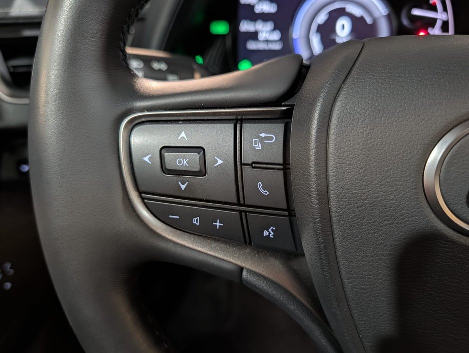 2024 Lexus UX 250H AWD PREMIUM PACKAGE-12