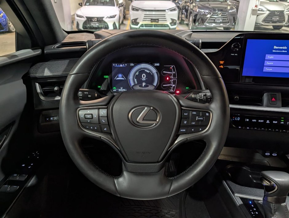 2024 Lexus UX 250H AWD PREMIUM PACKAGE-11