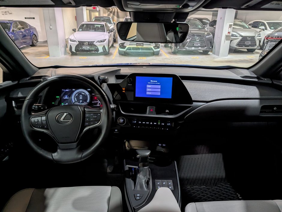 2024 Lexus UX 250H AWD PREMIUM PACKAGE-10
