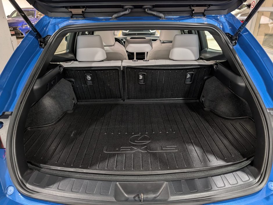 2024 Lexus UX 250H AWD PREMIUM PACKAGE-8