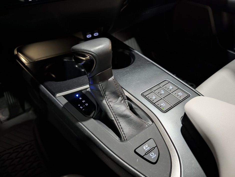 2024 Lexus UX 250H AWD PREMIUM PACKAGE-15
