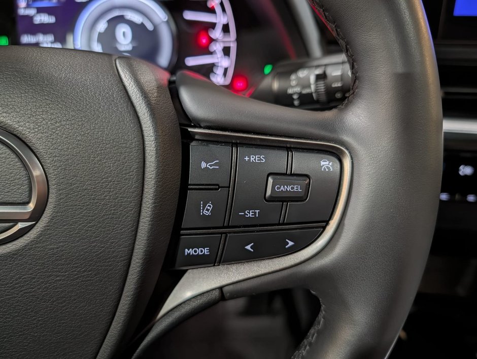 2024 Lexus UX 250H AWD PREMIUM PACKAGE-13