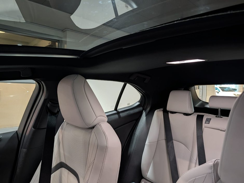 2024 Lexus UX 250H AWD PREMIUM PACKAGE-19