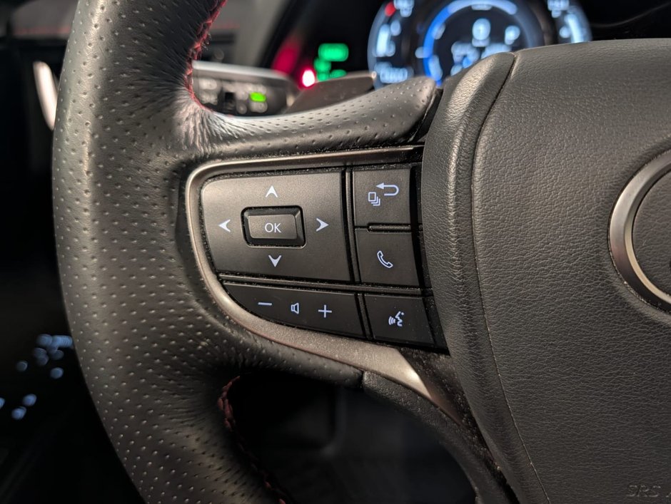 2024 Lexus UX 250h AWD F Sport 2-12