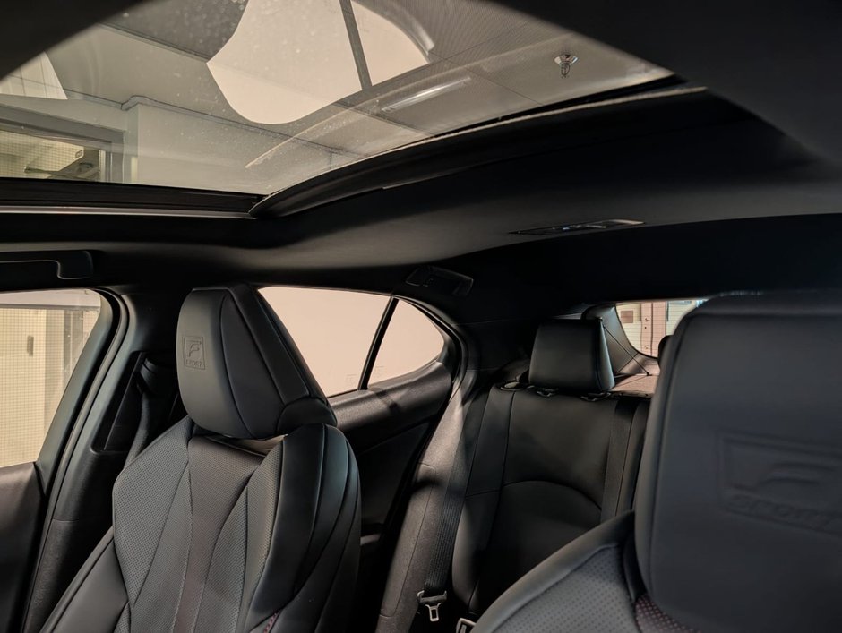 2024 Lexus UX 250h AWD F Sport 2-19