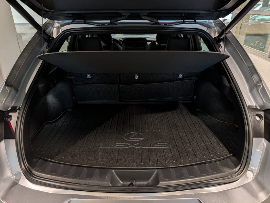 2024 Lexus UX 250h AWD F Sport 2-8