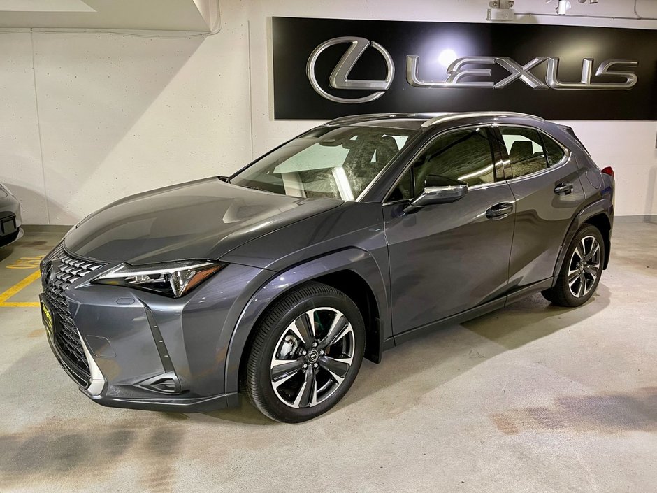 2025 Lexus UX 300h-0