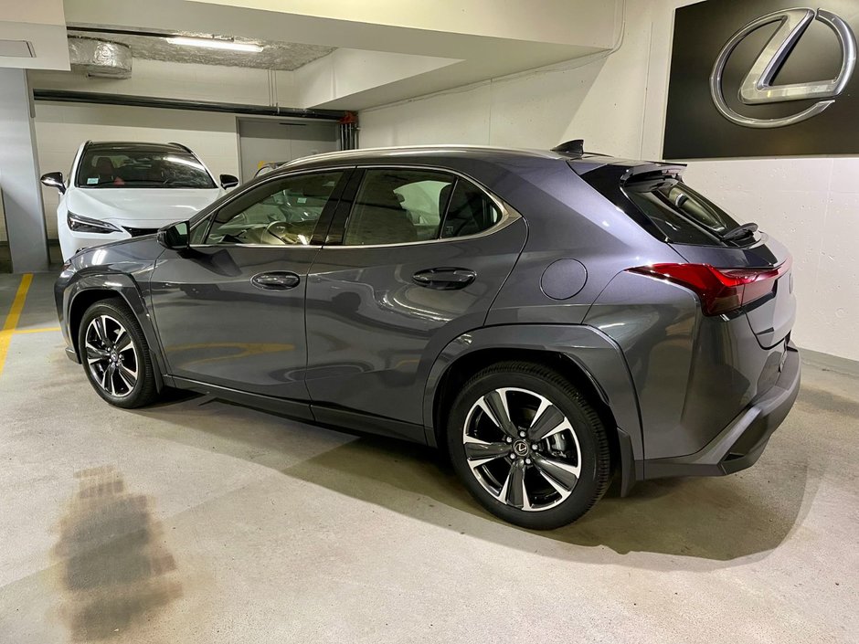 2025 Lexus UX 300h-5