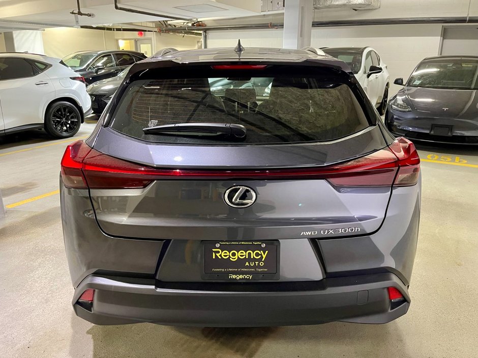 2025 Lexus UX 300h-4