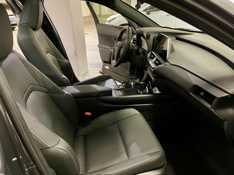 2025 Lexus UX 300h-7