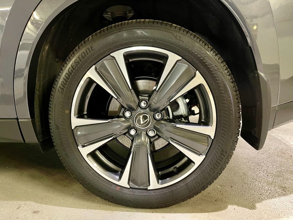 2025 Lexus UX 300h-6