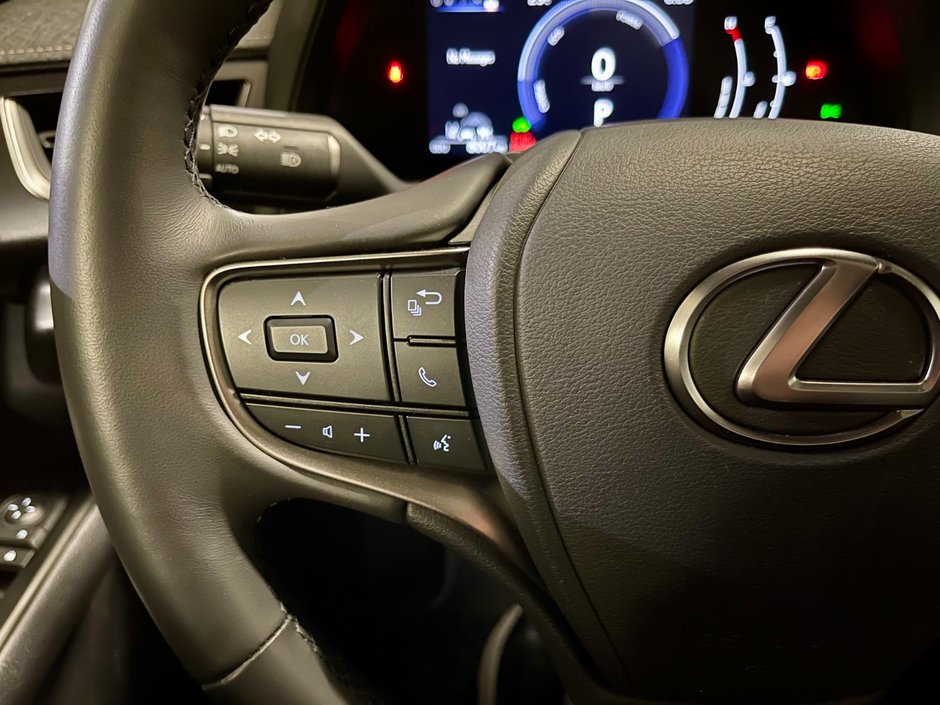 2025 Lexus UX 300h-14
