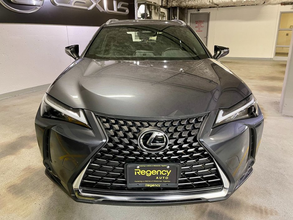 2025 Lexus UX 300h-2