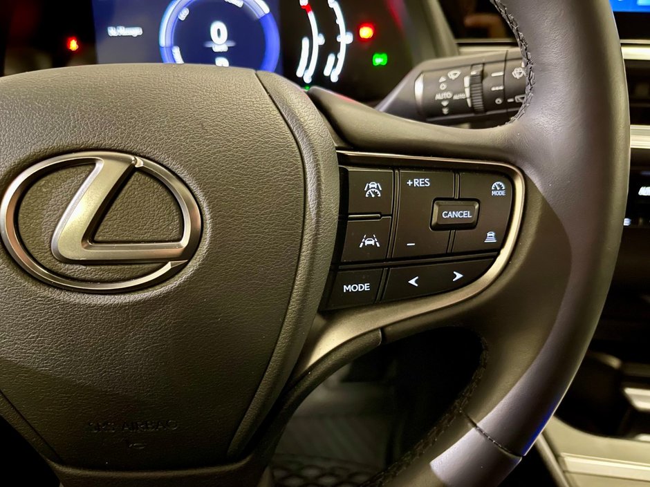 2025 Lexus UX 300h-15