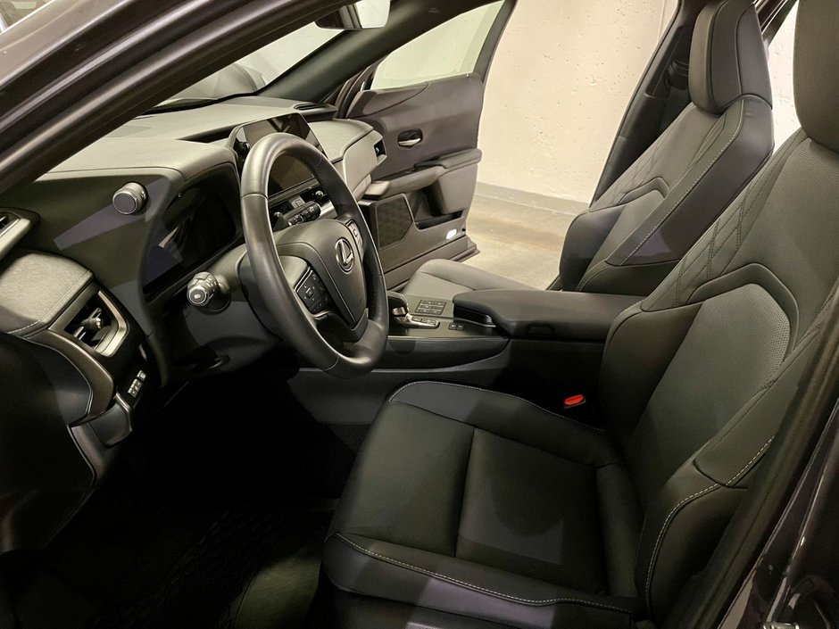 2025 Lexus UX 300h-10