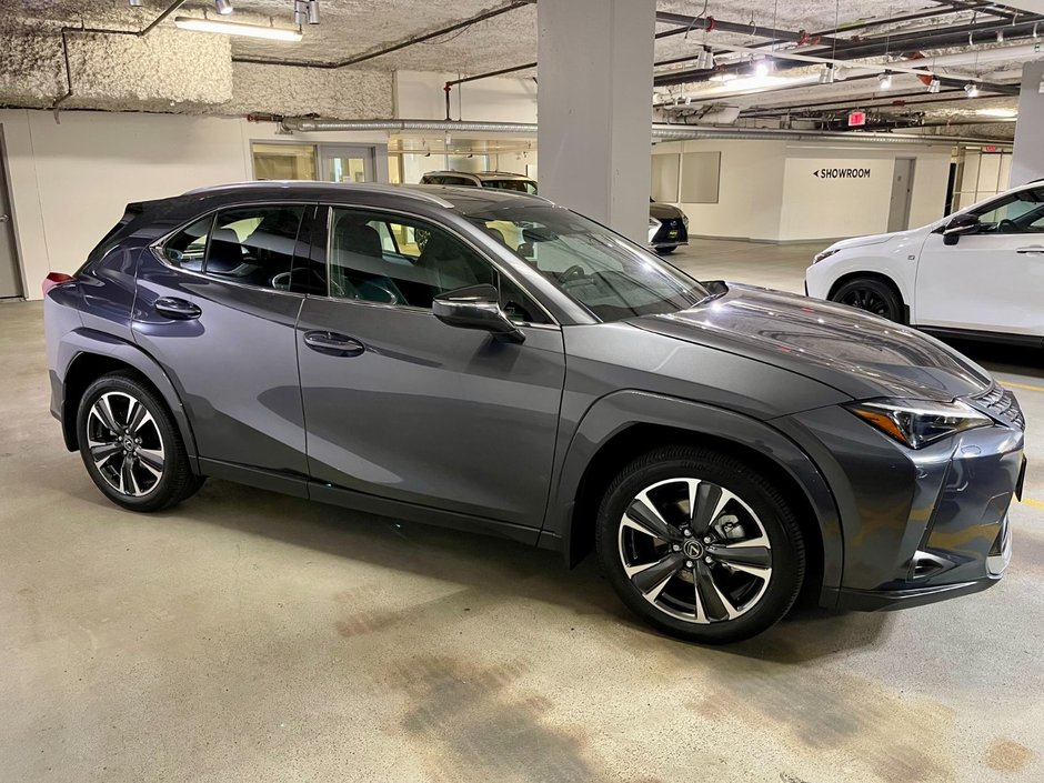 2025 Lexus UX 300h-3