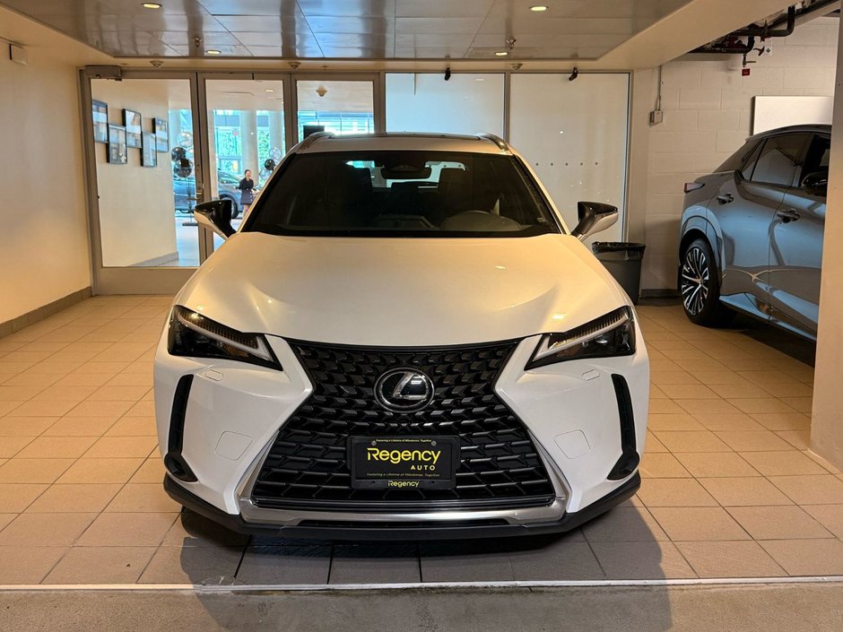 2025 Lexus UX 300h PREMIUM-1