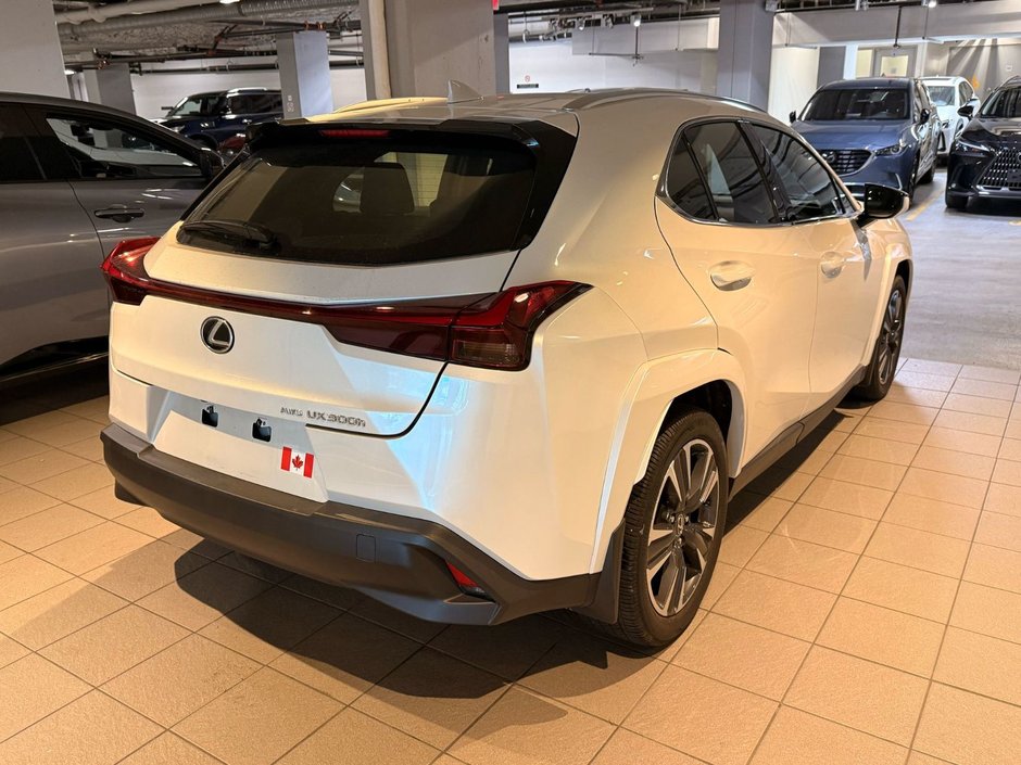 2025 Lexus UX 300h PREMIUM-3