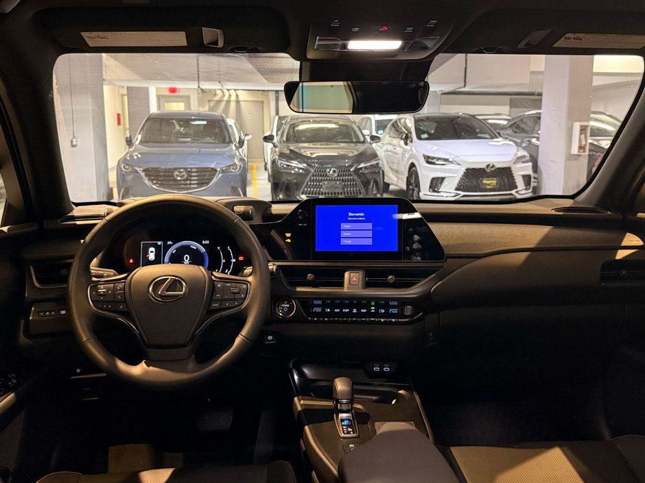 2025 Lexus UX 300h PREMIUM-4