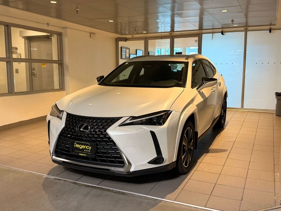 2025 Lexus UX 300h PREMIUM-0
