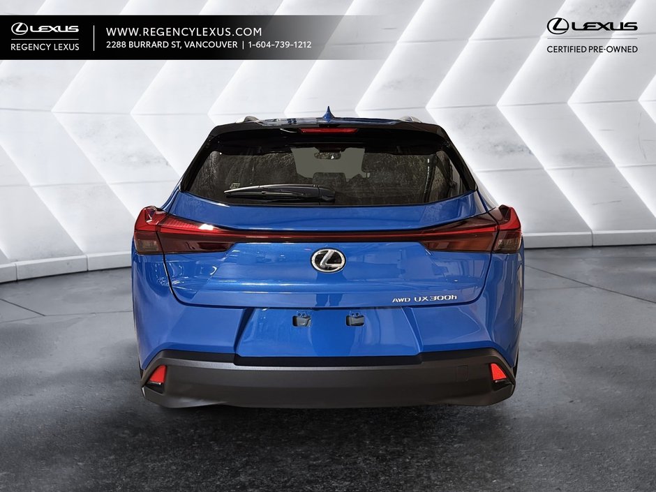 2025 Lexus UX 300h-2