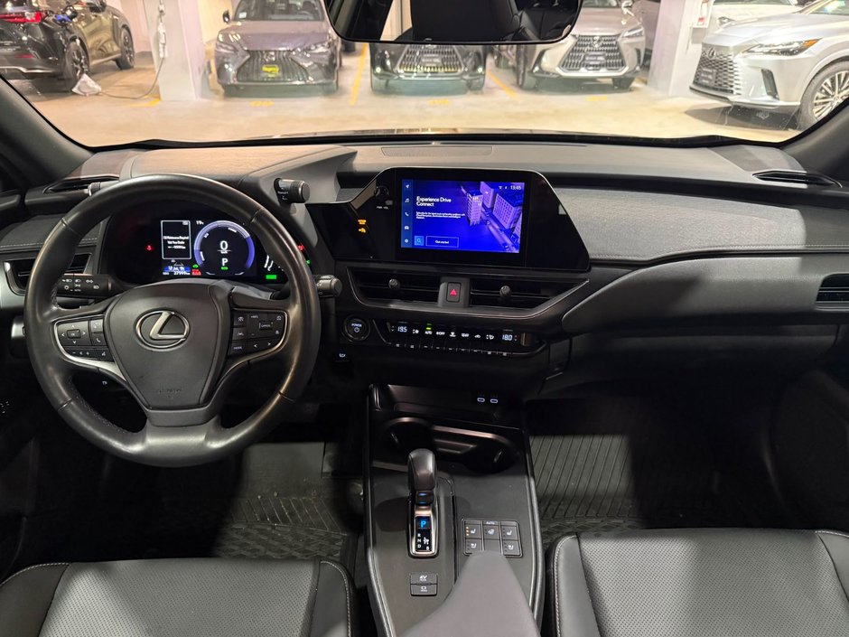 2025 Lexus UX 300h PM-3