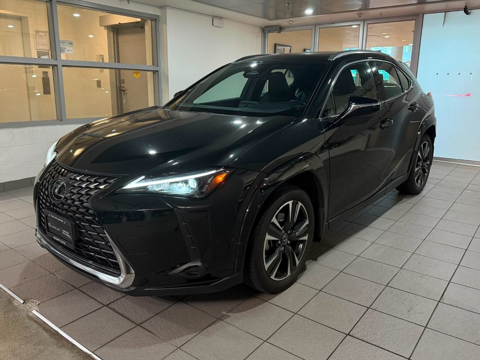 2025 Lexus UX 300h PM-0