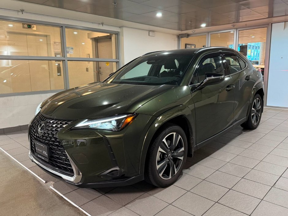 2025 Lexus UX 300h-0