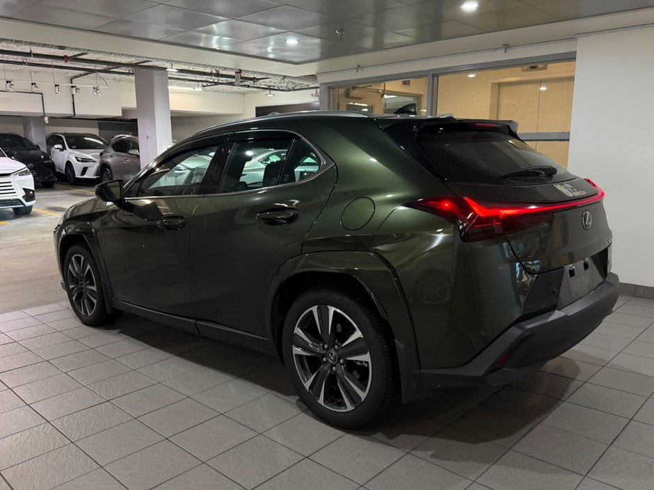 2025 Lexus UX 300h-2